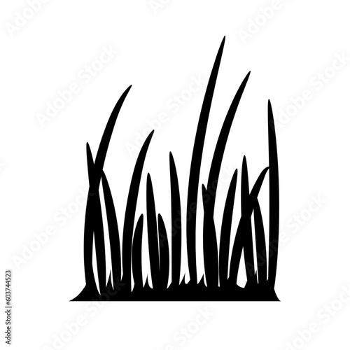 silhouette of a grass