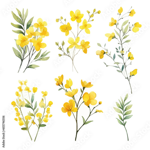 Set of yellow floral watecolor. flowers and leaves. Floral poster, invitation floral. Vector arrangements for greeting card or invitation design © IMRON HAMSYAH