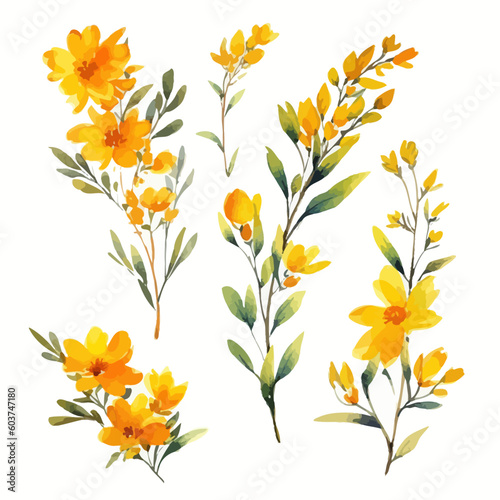Wallpaper Mural Set of yellow floral watecolor. flowers and leaves. Floral poster, invitation floral. Vector arrangements for greeting card or invitation design Torontodigital.ca