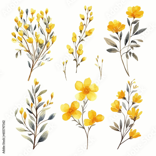 Set of yellow floral watecolor. flowers and leaves. Floral poster, invitation floral. Vector arrangements for greeting card or invitation design