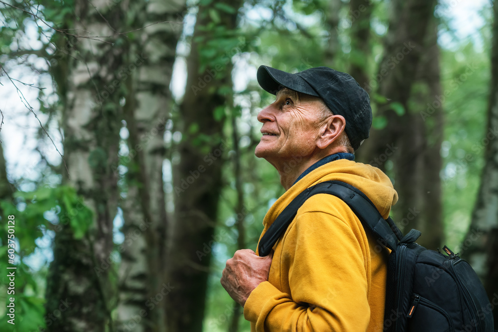 Side view of mature hiker wearing cap and holding backpack standing in summer forest with birch trees. Tourism concept. Side view of mature hiker wearing cap and holding backpack standing in summer forest with birch trees. Tourism concept.