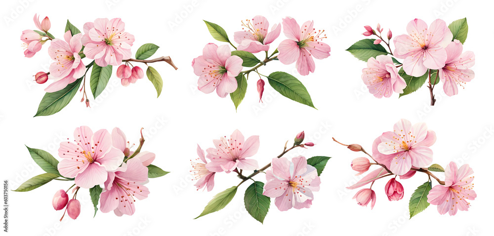 Pink cherry blossom flowers isolated on transparent background. Generative Ai Pink cherry blossom flowers isolated on transparent background. Generative Ai