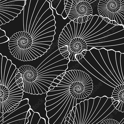 Seamless vector pattern with  seashells. Nature abstract background. Black and white.  Perfect for wallpaper  wrapping  fabric and textile.