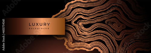 Luxury golden background with wood annual rings texture. Banner with shiny tree ring pattern. Stamp of tree trunk in section. Natural wooden concentric circles. Black and bronze gold background