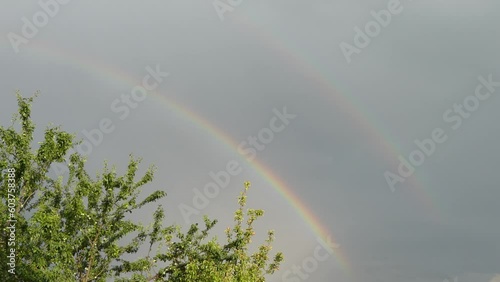 Sky with two colorful rainbows on rainy day and green branches of fruit trees - real time. The sky with a double colorful rainbow and branches of fruit trees with pear fruit and plums lit by sunlight.