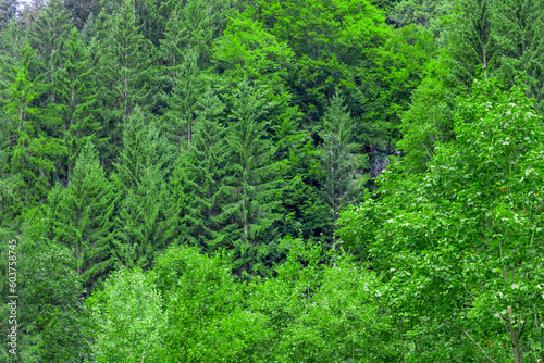 Scenic panoramic landscape: beautiful clinic black forest HD pics, Germany, EUROPE