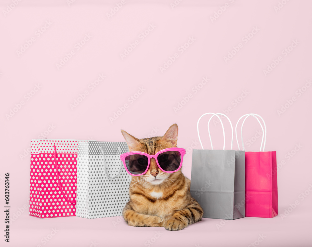 Funny red cat in glasses with paper shopping bags on a colored background. - obrazy, fototapety, plakaty 