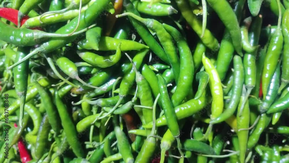 Green Chili peppers also called chile, chile pepper, chilli pepper, or chilli. Green Chili peppers also called chile, chile pepper, chilli pepper, or chilli.