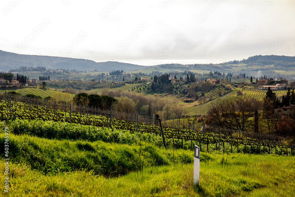 Green meadows and vineyards of Chianti region, Tuscany, Italy.