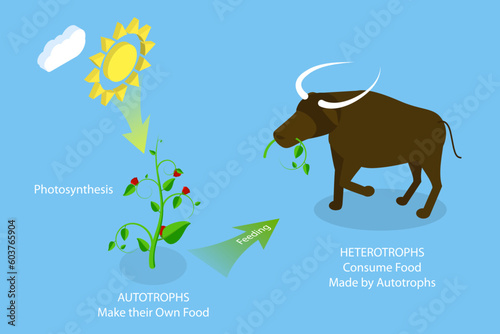 3D Isometric Flat Vector Conceptual Illustration of Autotroph And Heterotroph, Biological Classification