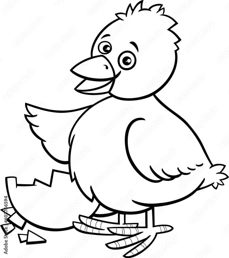 cartoon little chick hatched from egg coloring page cartoon little chick hatched from egg coloring page