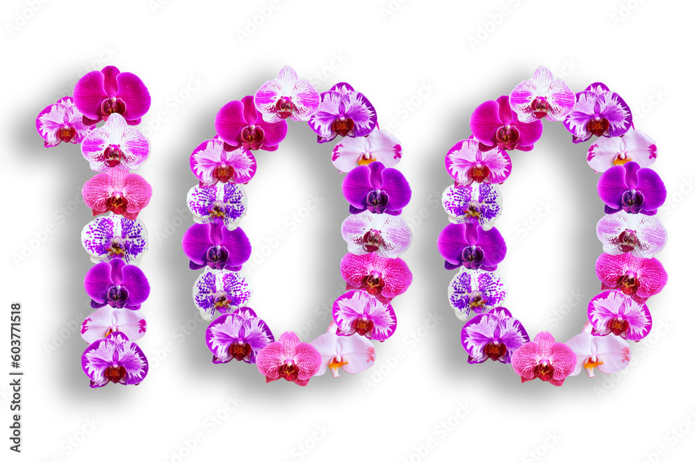 The shape of the number 100 is made of various kinds of orchid flowers. suitable for birthday, anniversary and memorial day templates
