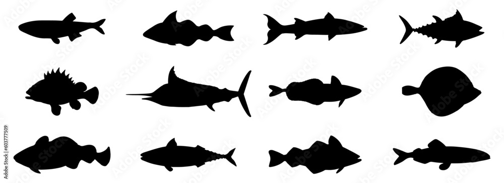 Set Of Sea Fish Silhouettes Set Of Sea Fish Silhouettes