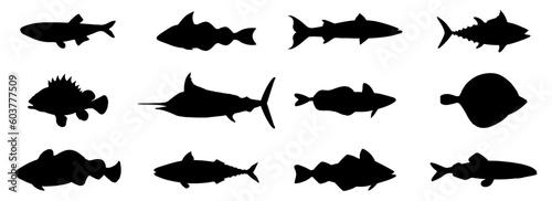 Set Of Sea Fish Silhouettes