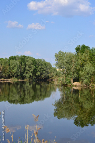 A beautiful green forest and blue sky are reflected in the lake