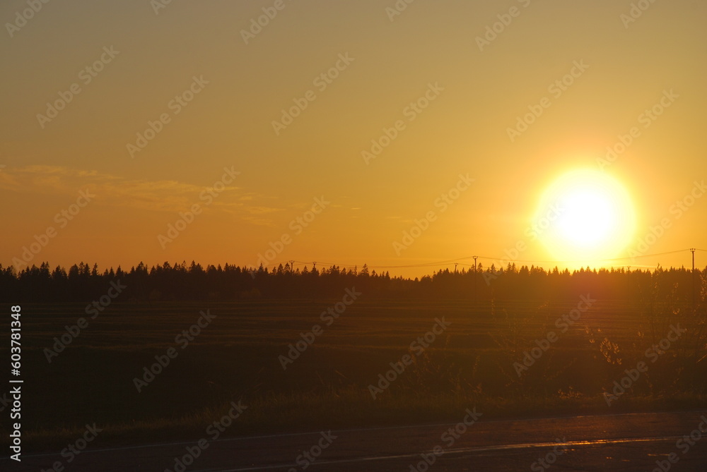 Sunset over dark forest. Spring evening, the sky with rare clouds, the sky is blue-orange due to the setting sun. Below you can see the outlines of treetops, electric poles with wires.