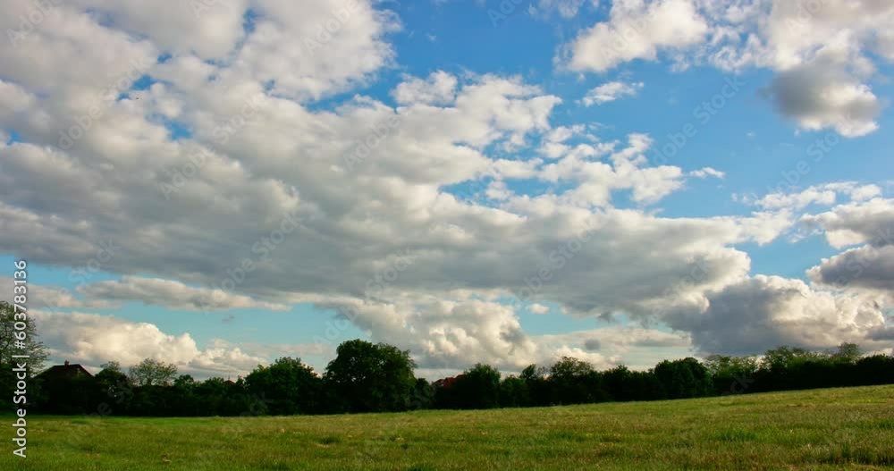4K time lapse of a green meadow with moving clouds. Trees in the distance. Blue summer sky. 4K time lapse of a green meadow with moving clouds. Trees in the distance. Blue summer sky.