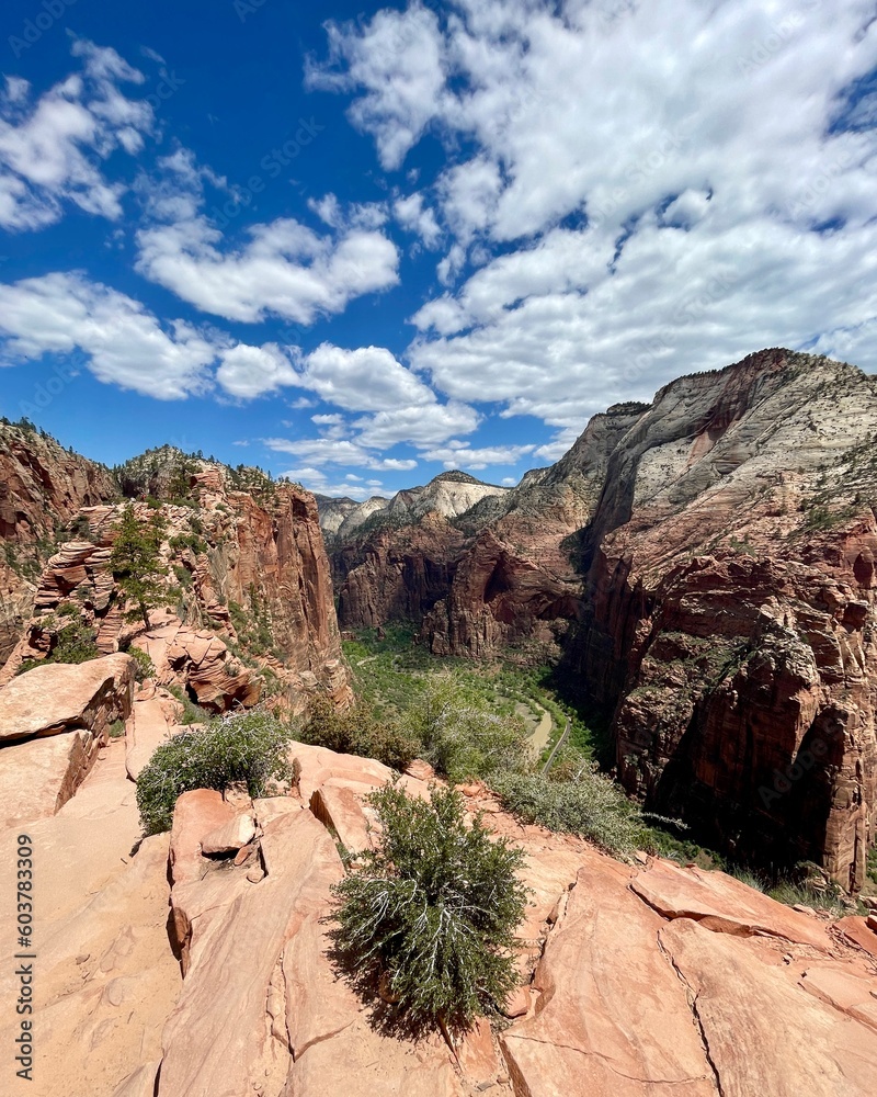 Fototapeta premium View from Angel's Landing