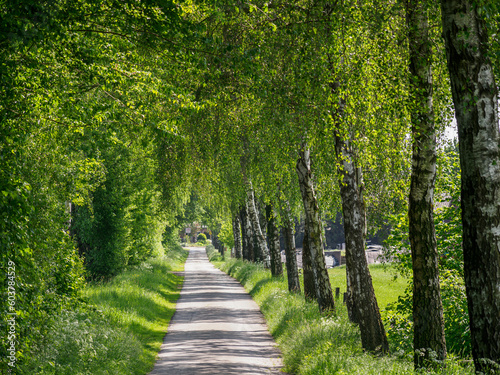 Frühling  im Münsterland photo