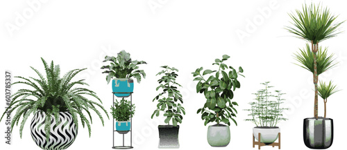 Beautiful plants in ceramic pots isolated on transparent background for illustration, digital composition, and architecture visualization
