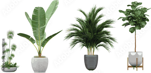 Beautiful plants in ceramic pots isolated on transparent background