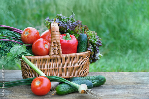 wicker basket with organic fresh different vegetables on wooden table in garden, natural green background. concept of harvesting, assorted of raw vegetables, healthy vitamin food. template for design
