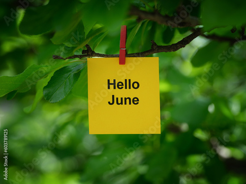 A yellow paper note with the words Hello June on it attached to a tree branch with a clothes pin