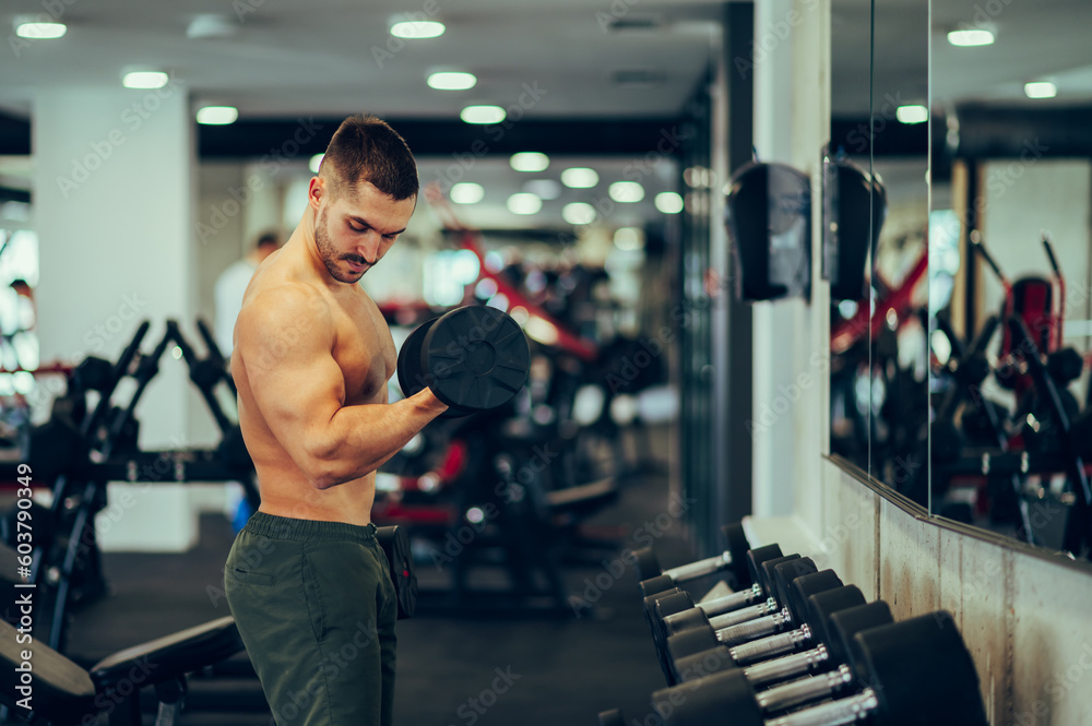 A strong muscular bodybuilder is working out with a dumbbell and looking at his biceps flexing at the gym.
