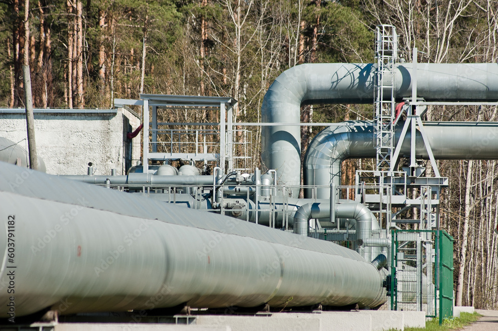 pipeline close-up behind the background of the forest pipeline close-up behind the background of the forest