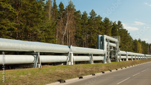 pipeline and road, forest and blue sky in the background