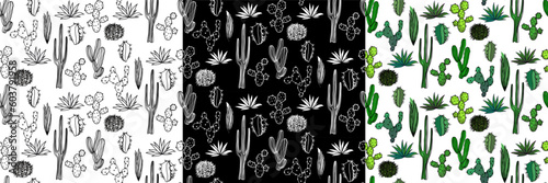 Vector seamless half-drop pattern, with cactus
