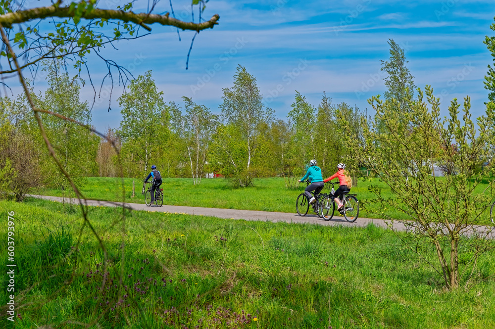 Three cyclists from behind on the Berlin Wall Trail. Three cyclists from behind on the Berlin Wall Trail.