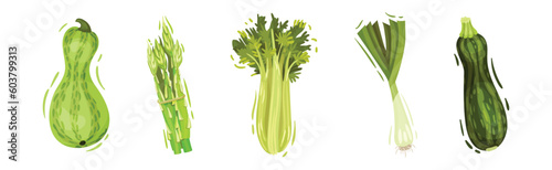 Green Vegetables and Organic Eco Food Vector Set