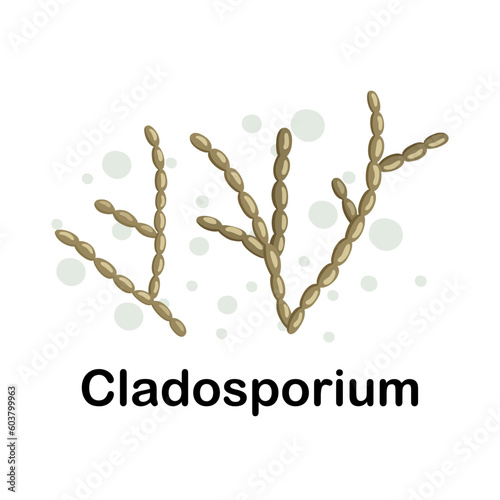Cladosporium.Microorganisms. Medicine and health. Cartoon. Microbiota. Microbiome. Vector stock illustration. Isolated.Bacteria in the body. Bifidobacteria.