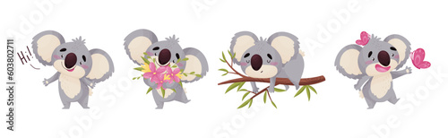 Cute Gray Koala Bear Engaged in Different Activity Vector Set