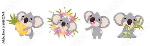 Cute Gray Koala Bear Engaged in Different Activity Vector Set