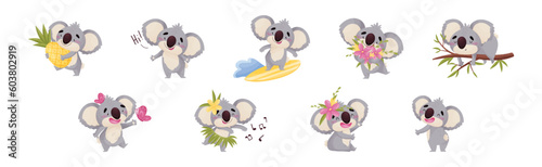 Cute Gray Koala Bear Engaged in Different Activity Vector Set
