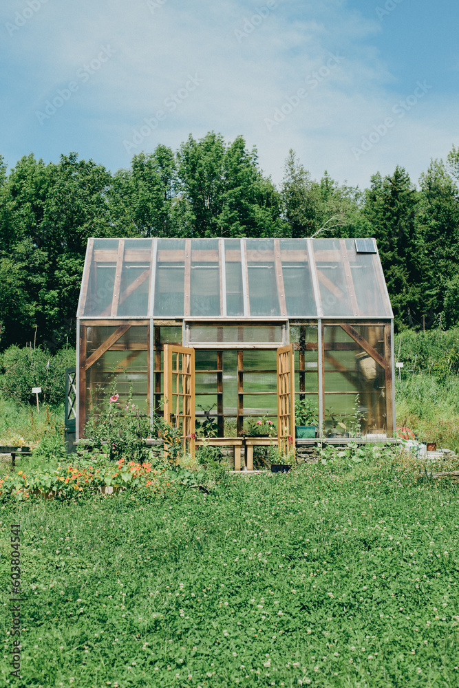Greenhouse