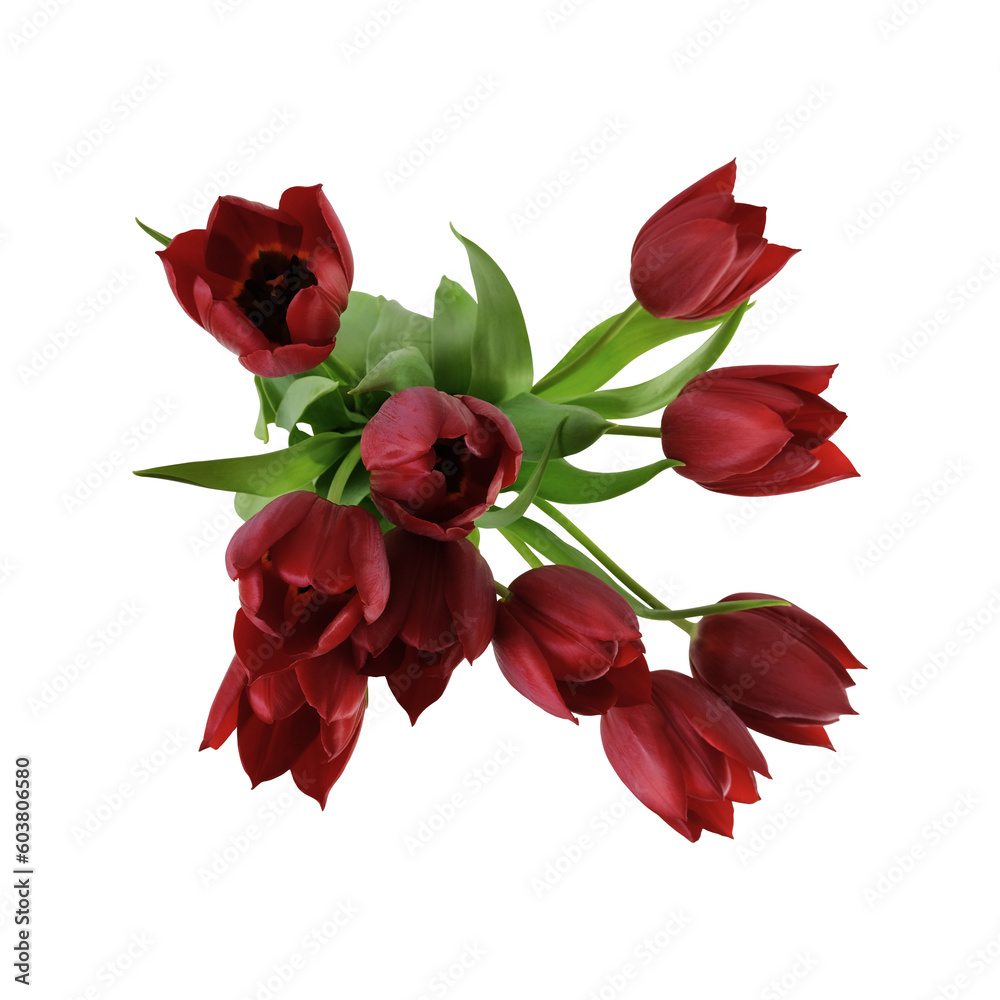 Red tulip garden flowers bouquet composition, cutout with clipping path object, floral element of festive holiday design, decor Red tulip garden flowers bouquet composition, cutout with clipping path object, floral element of festive holiday design, decor