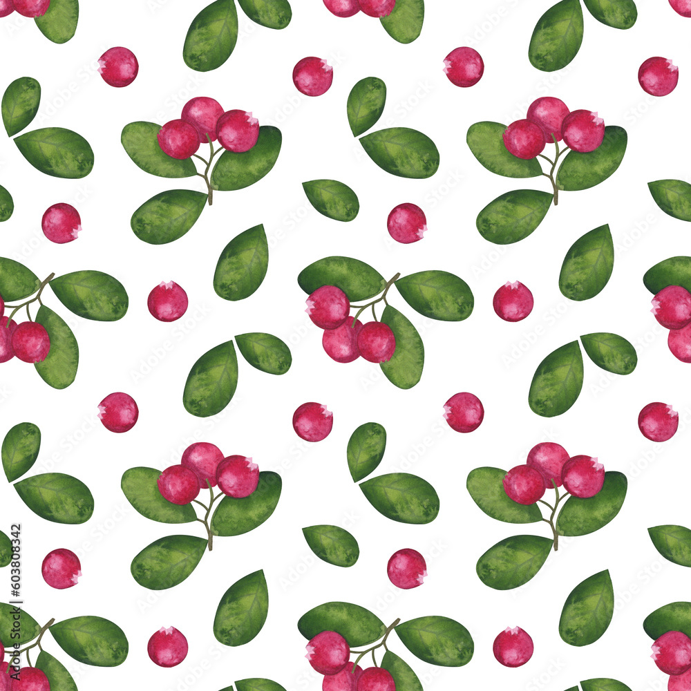 Seamless endless pattern. Cranberry with green leaves, red ripe berries. Botanical drawing. Hand-drawn watercolor illustration on white background Seamless endless pattern. Cranberry with green leaves, red ripe berries. Botanical drawing. Hand-drawn watercolor illustration on white background