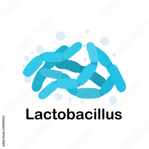 Lactobacillus.Microorganisms. Medicine and health. Cartoon. Microbiota. Microbiome. Vector stock illustration. Isolated.Bacteria in the body. Probiotics