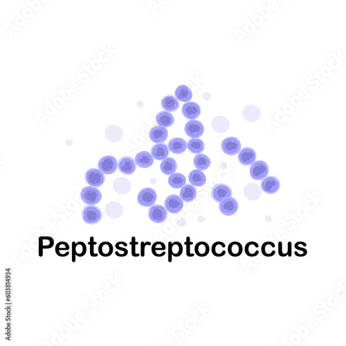 Peptostreptococcus. Microorganisms. Medicine and health. Cartoon. Microbiota. Microbiome. Vector stock illustration. Isolated.Bacteria in the body.
