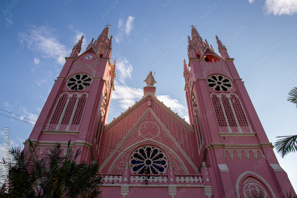 pink church in a town in latin america