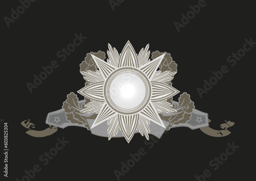 Insignia -  star shaped  with banner  .  Blank so you can add your own images. Vector illustration. Black background  .