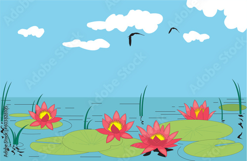 Beautiful water lilly. Vector illustration