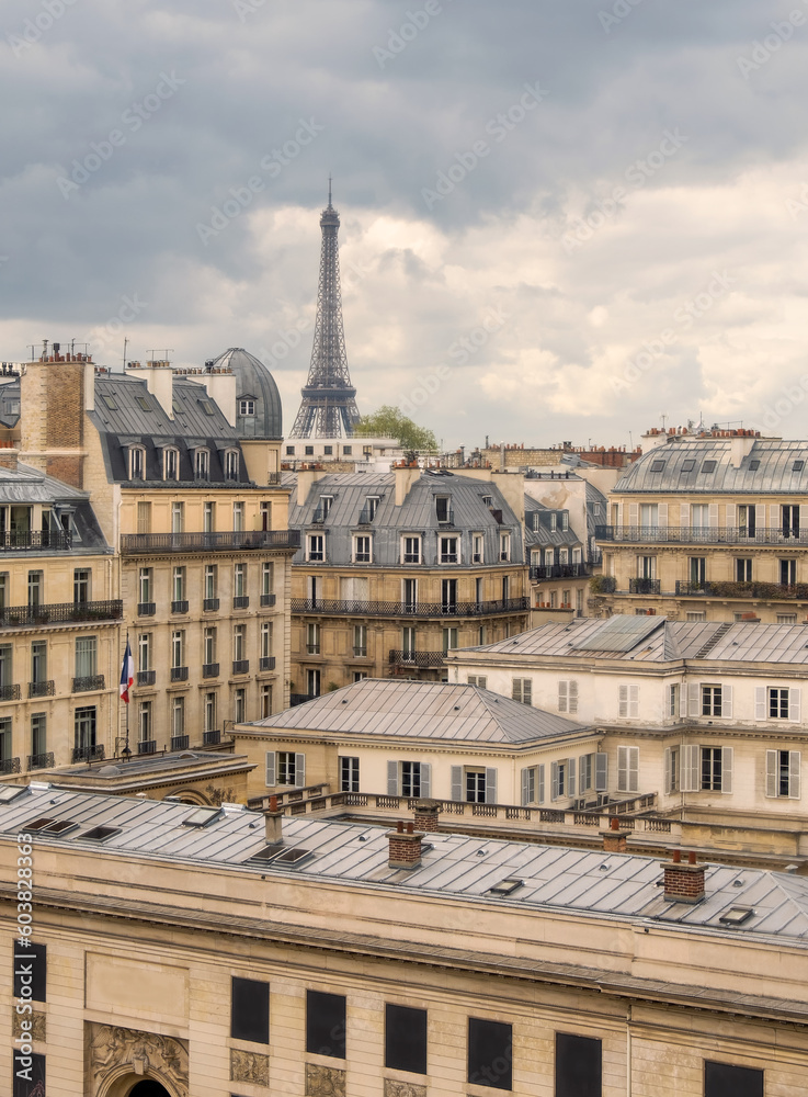 Beautiful view of Paris with their traditional buildings and Tour Eiffel