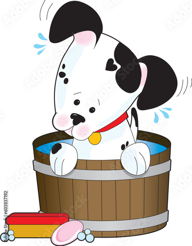 A spotted dog having a soapy bath