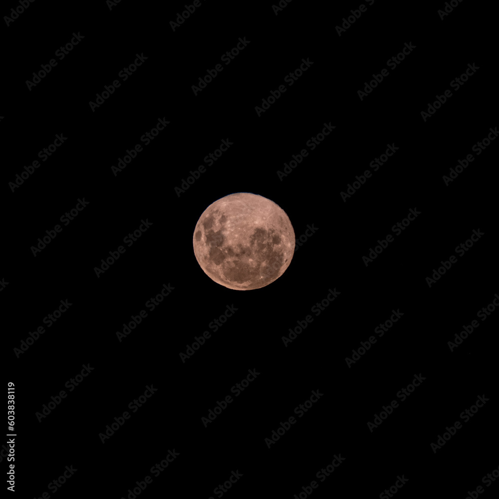 Obraz premium full moon