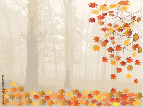 Autumn Leaves and forest - vector illustration