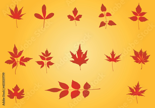 Floral background - vector